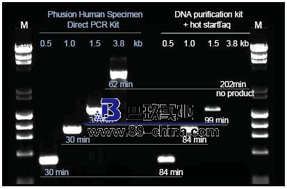 PCR試劑盒