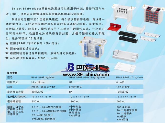 美國SBP垂直電泳系統