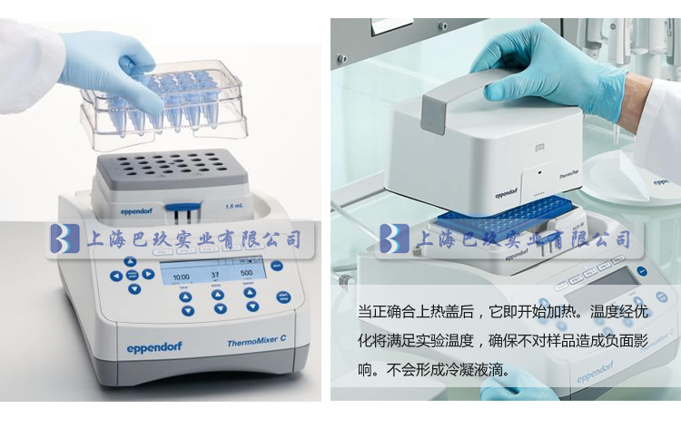 艾本德ThermoMixer? C混合器展示圖2