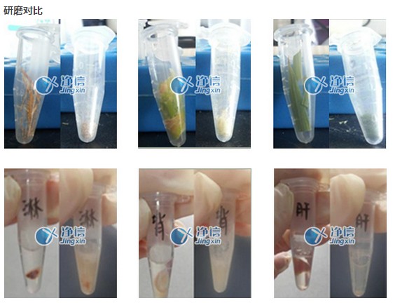 上海凈信MY-10/20手持式組織研磨器