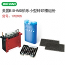 美國伯樂Bio-rad Mini Trans-Blot Module美國電泳轉印芯模塊1703935