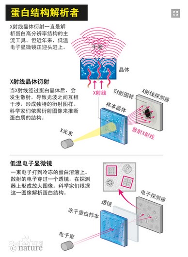 桌面單粒子低溫電子顯微鏡-蛋白結構解析