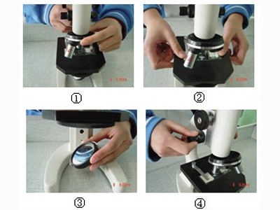 顯微鏡使用圖